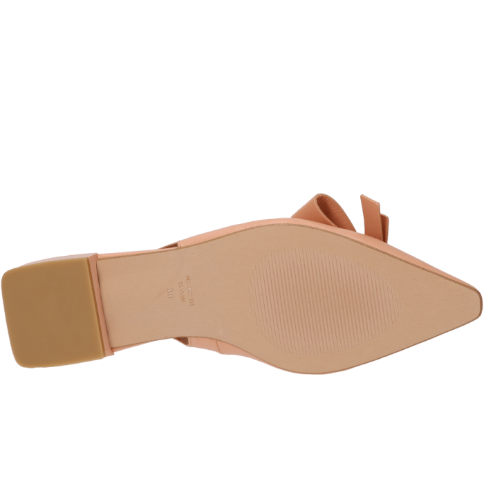 Angel Alarcon Charlotte 25010 Camelia