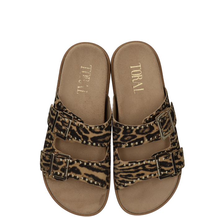 Toral Selma Calipso arena